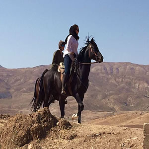 Pony Trekking at Sadr home